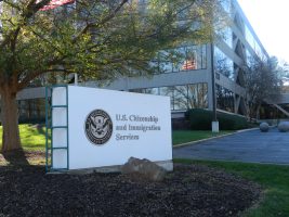 Администрацијата на Трамп ќе ги принуди кандидатите за зелена карта да се вратат во своите земји и таму да аплицираат