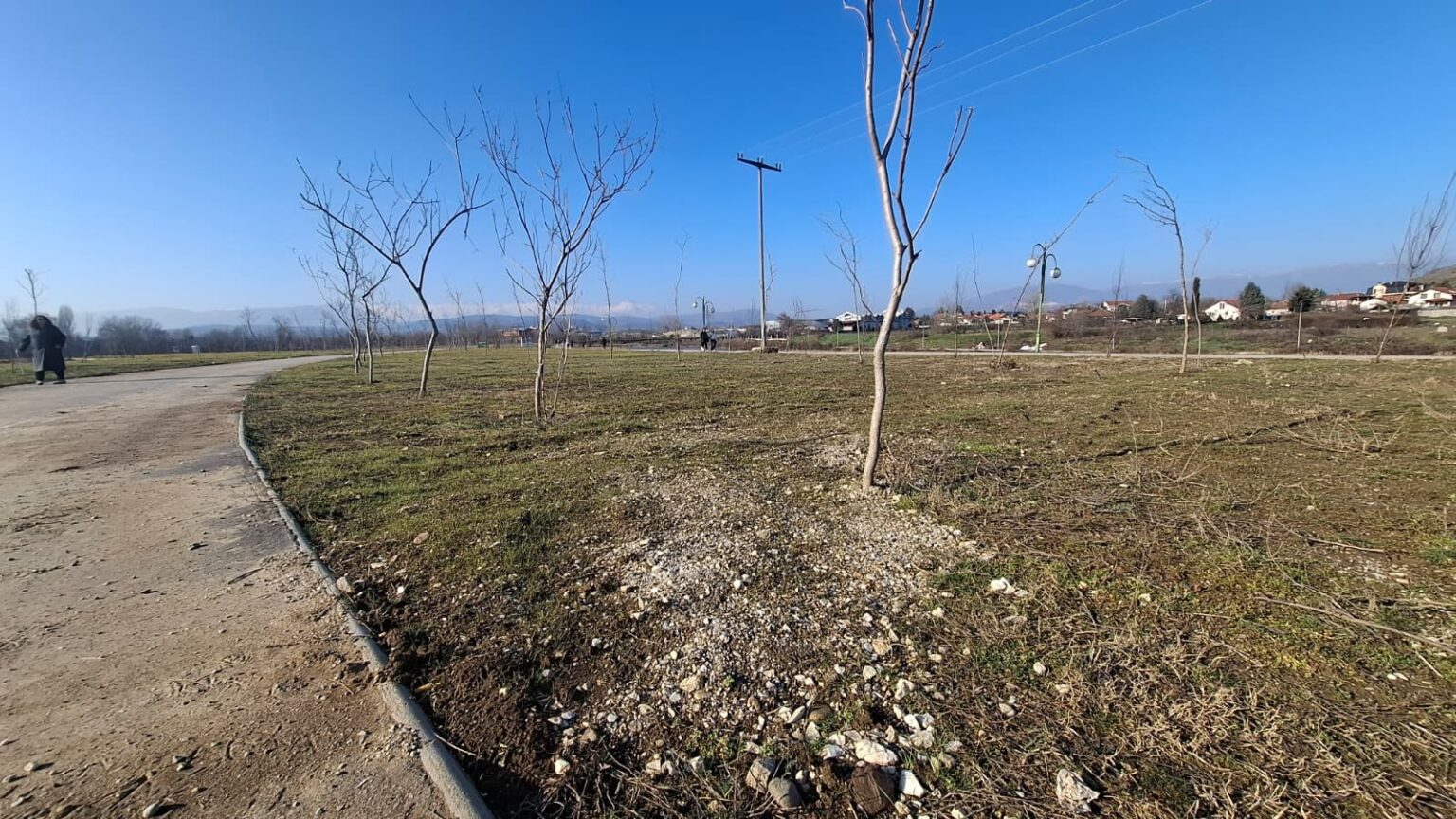 Зголемен број на убоди од крлежи евидентирани последниве недели во Ургентен центар Куманово