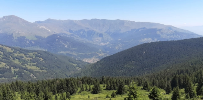 Најстудено во Маврови Анови и Лазарополе, најтопло во Гевгелија