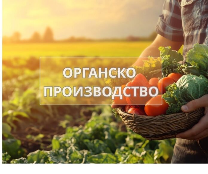 Органското производство како извозна шанса: Со паметна поддршка, европски стандарди и сигурен пласман органското производство може да стане успешна македонска извозна приказна