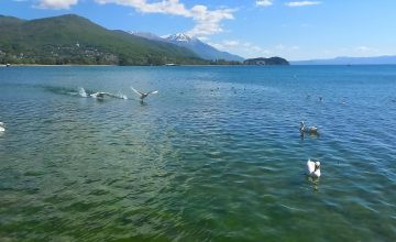 Сончево со температура до 19 степени