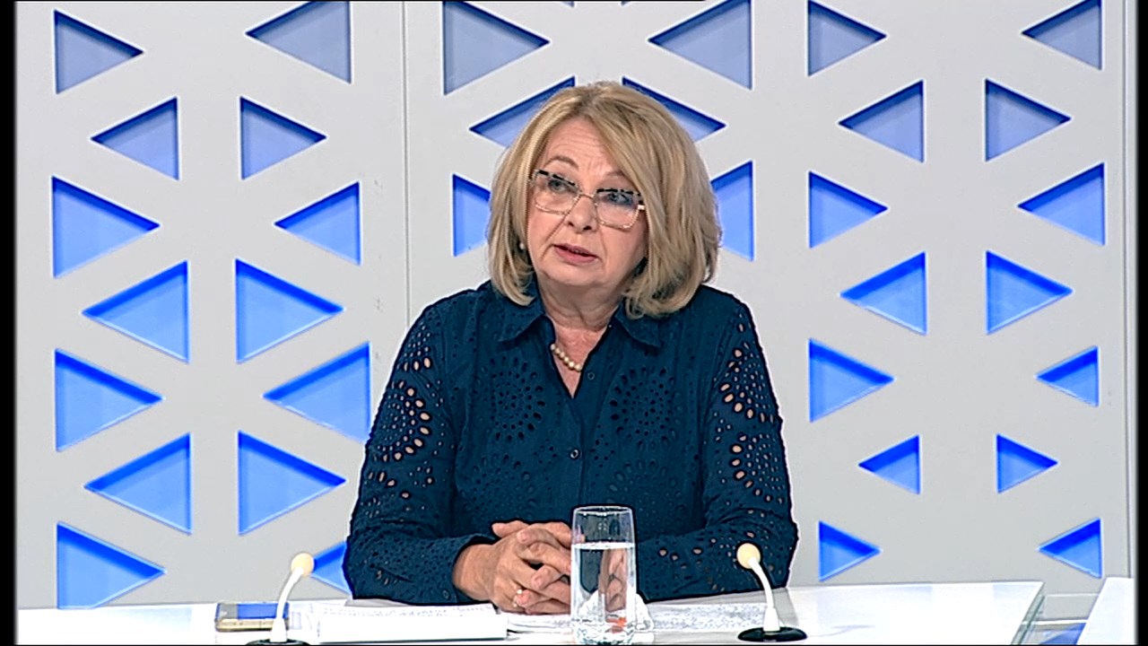 Калевска Ванчева за 24 Анализа: Понудата на Филипче во овој момент не е за широка Влада