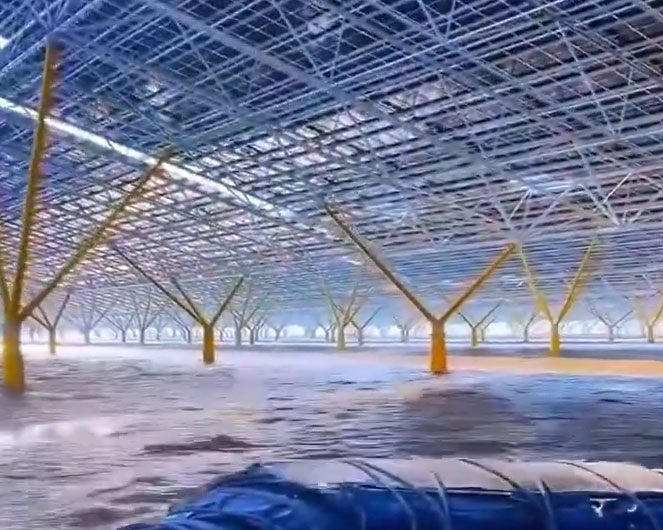 Кинезите го ловат Сонцето