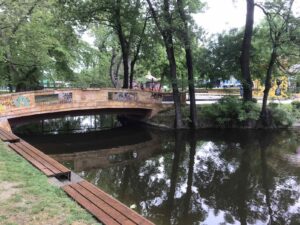 Претпладне облачно со сончеви периоди, попладне локален дожд, грмежи и засилен ветер