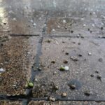 Силно невреме во регионот