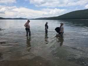 Ново порибување на Мавровското Езеро со над 2 тони крап