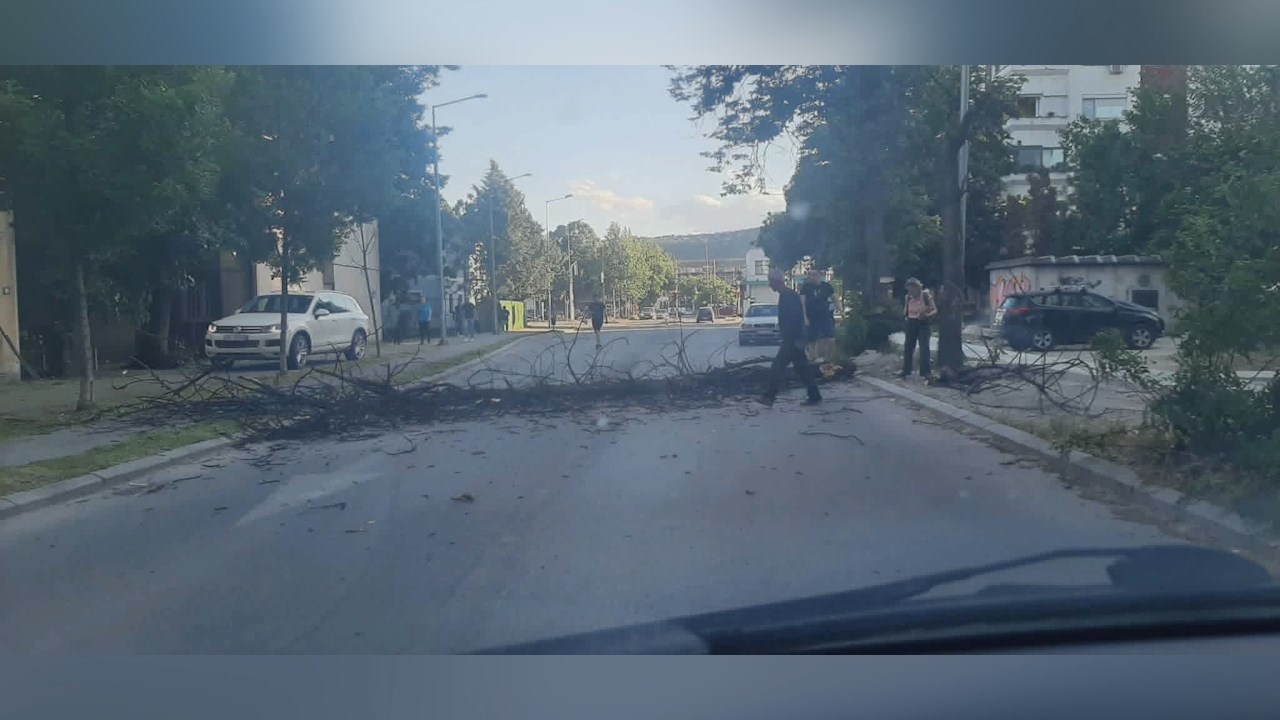 Од силниот ветер падна дрво Аерором на улица на Пандил Шишков