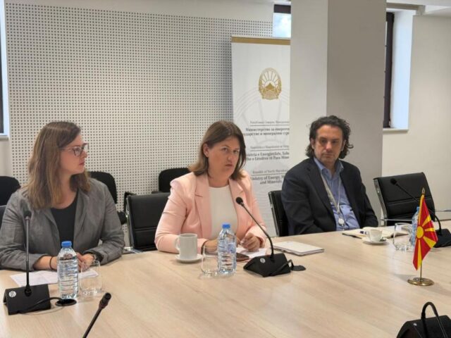 Божиновска: Се работи забрзано на енергетско поврзување со регионот, клучен приоритет е енергетската стабилност