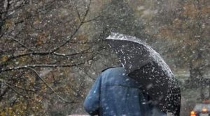 Најмногу дожд во Претор