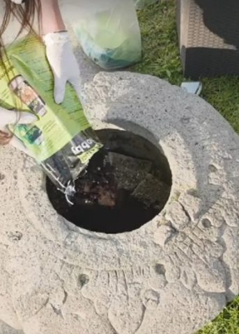 Taмара Вучиќ во пролетна сеидба во дворот (ФОТО)