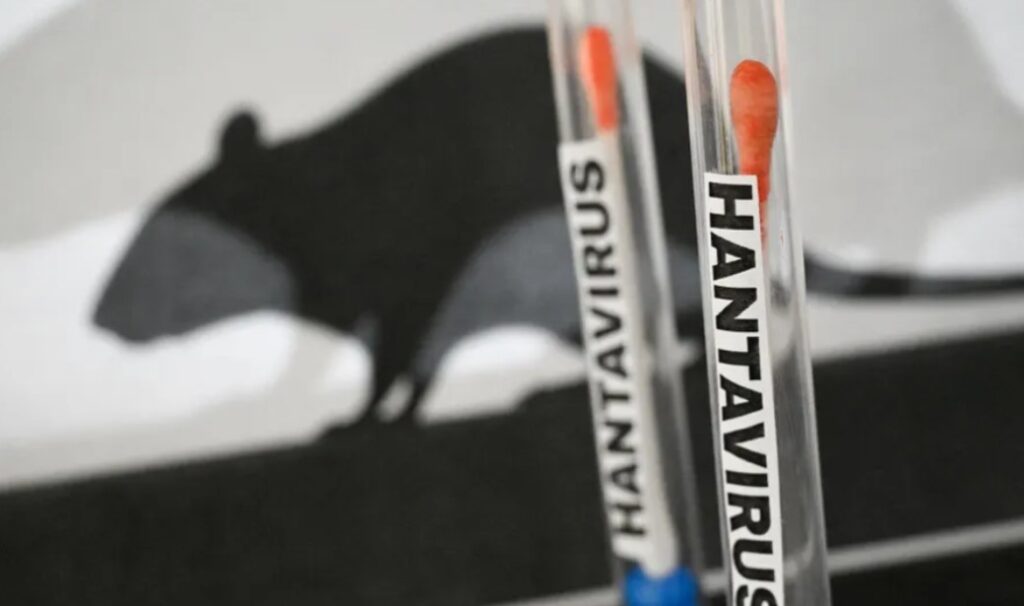 Хантавирусот го плаши светот, СЗО смирува: Ризикот останува низок