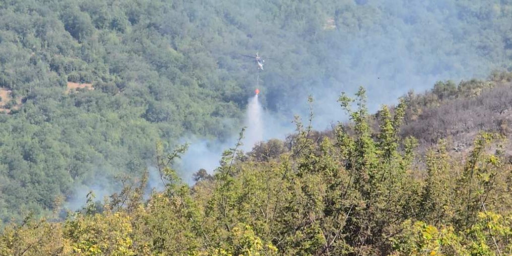 Два активни пожари во Македонија