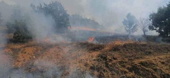 Два активни пожари на отворен простор во Василево и Прилеп, пет изгаснати