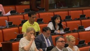 Мојсоска: Законот за судска служба ја става судската власт под контрола на извршната
