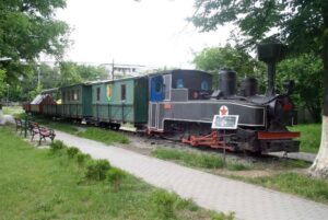 Кривина пријава за жител на Пласница кој го отшетил возот „Ќиро“