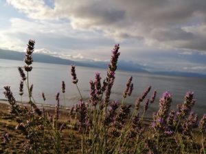 Повеќе облаци, малку сонце и дожд попладне