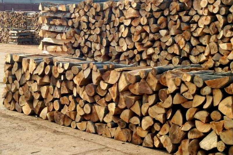 КРИВИЧНА ПРИЈАВА ЗА ПОРАНЕШЕН ДИРЕКТОР НА НАЦИОНАЛНИ ШУМИ – склучувал договори за продажба на дрва по пониски цени