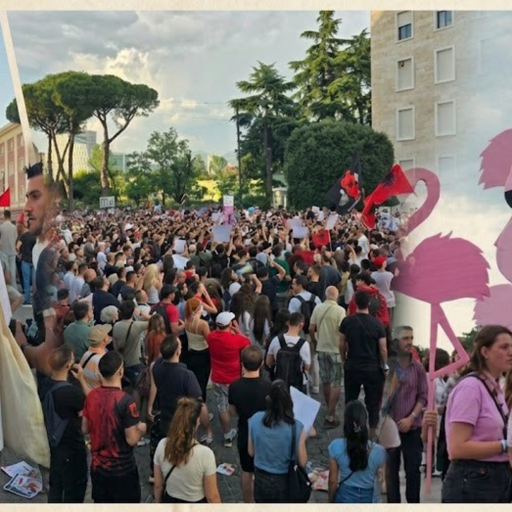 Албанската „Фламинго револуција“ е за многу повеќе од Кушнер и од птиците