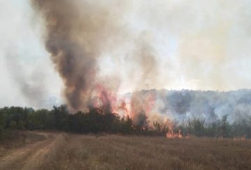 ЦУК: Повторно се активира пожарот во близина на КПУ Велес – Превалец