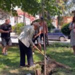 Холандската поетеса Анеке Брасинга  засади дрво во Паркот на поезијата