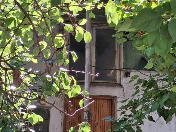 (ФОТО) Државата продава конфискуван стан од пред 16 години во случајот ,,Пепел”
