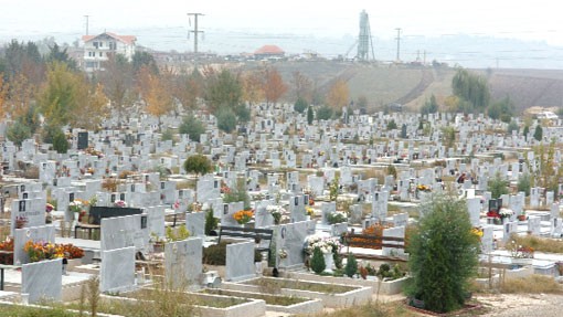 Биста од починат украдена на гробиштата во Бутел