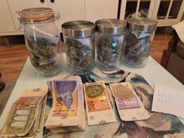 (6) Дрогата кај младите во Полог, алармираат експертите: Институциите реагираат со задоцнување, училиштата без доволна поддршка