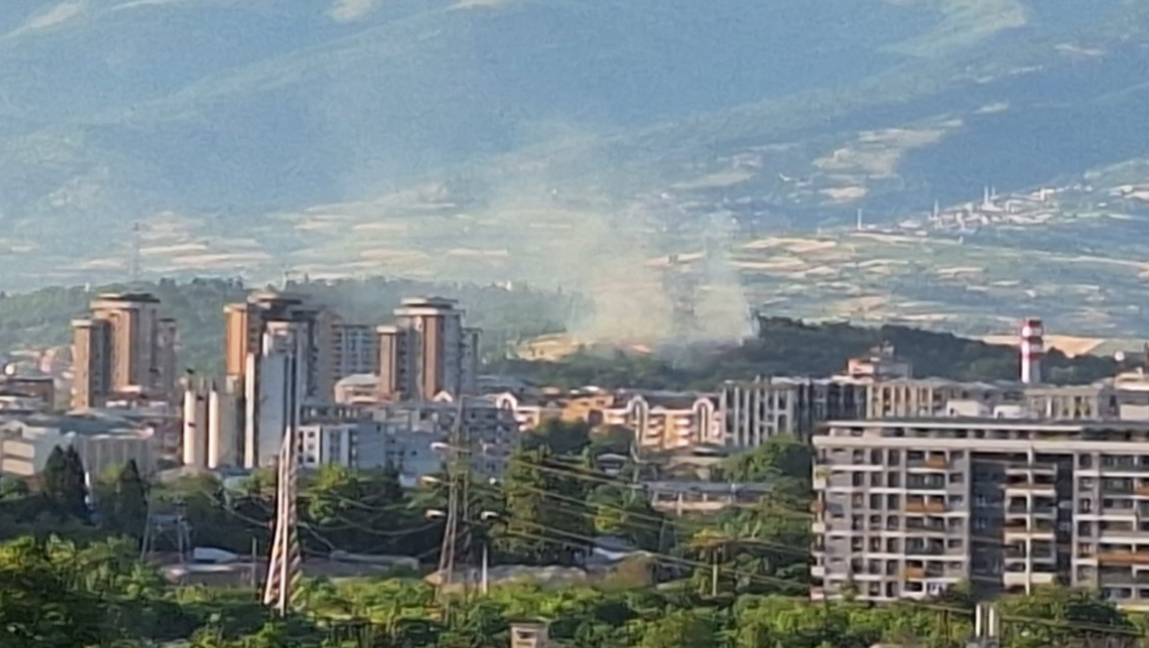 Пожар изби во близина на Парк шумата Гази Баба