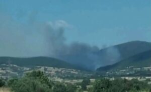 Голем пожар во Грција: 42 пожарникари, две пешадиски екипи, пет авиони и десет противпожарни возила се на терен