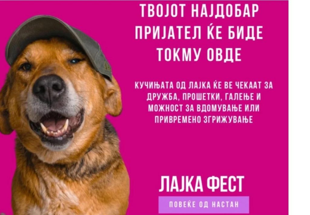 „Лајка-Фест“ во Градски парк: едукација, вдомување и заедништво со животните