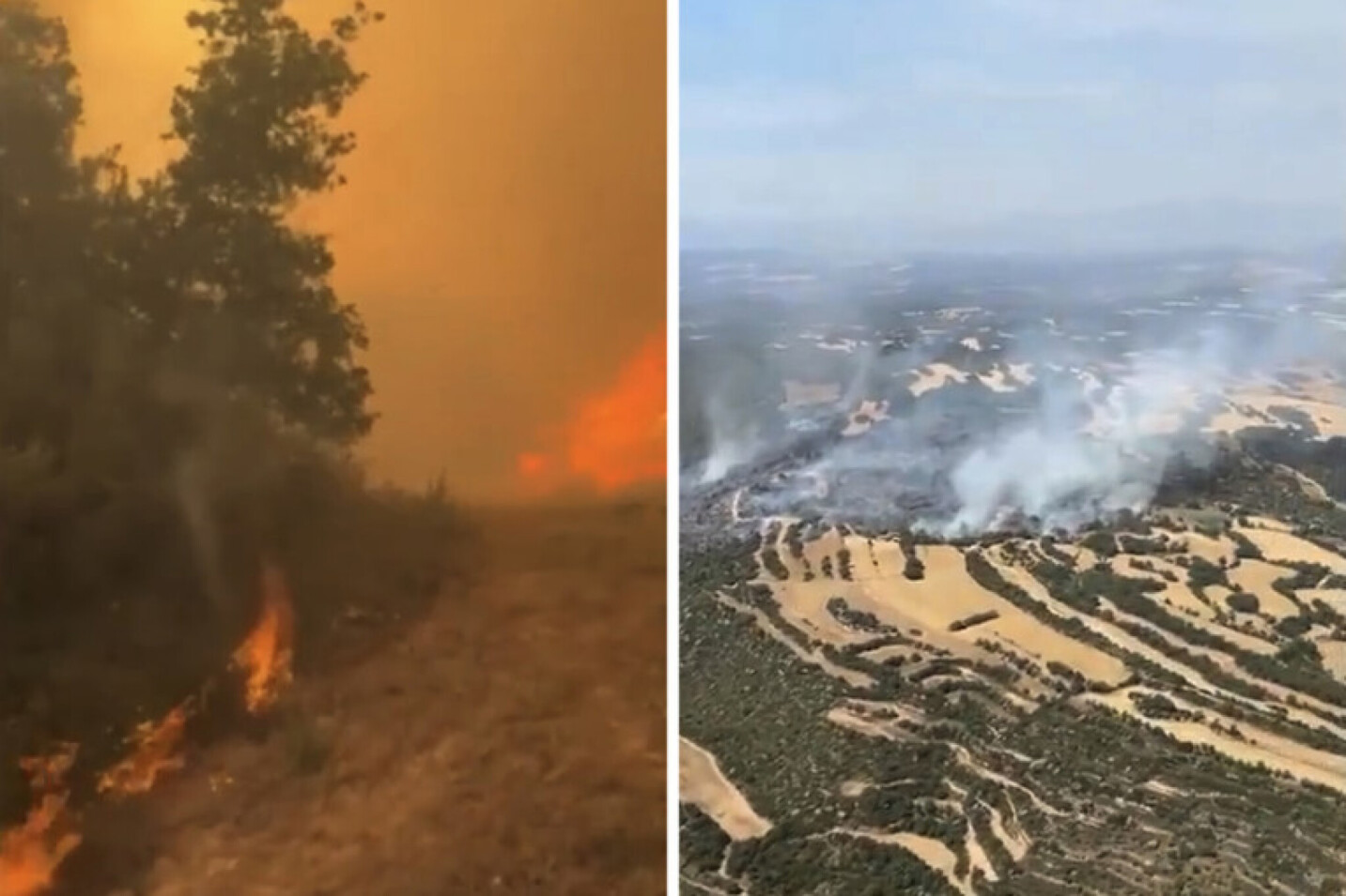 (Видео) Голем шумски пожар во Шпанија: Изгореа над 330 хектари, евакуирани куќи