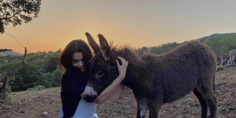 Бојана Чапкуновска, најдобар студент на Ветерина: „Здравјето на луѓето, животните и животната средина се поврзани и треба да се третираат како целина“