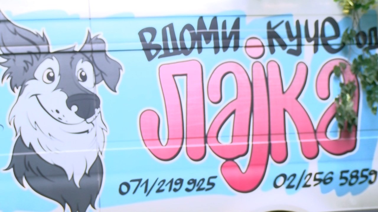Денеска и утре „Лајка-фест“ во Градски парк – едукација за сопствениците и можност за вдомување на миленик