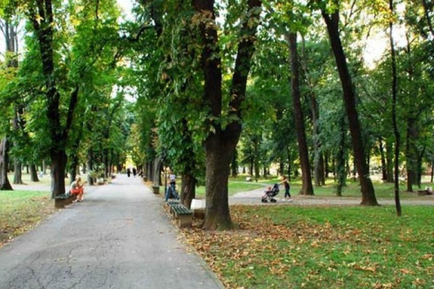 Малолетник нападнат во Градскиот парк во Скопје