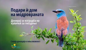 Донаторска акција на Македонското еколошко друштво: Заедно со граѓаните можеме да обезбедиме сигурен дом за модровраната!