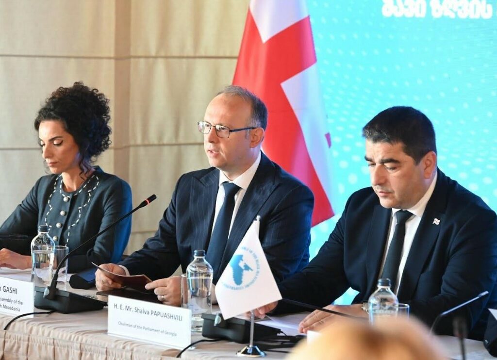Гаши на состанок на организацијата за црноморска соработка во Грузија