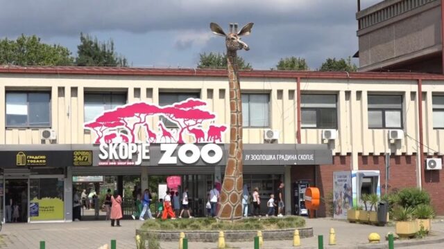 ЛДП: Волци избегале од кафезот во скопската Зоолошка и изеле неколку кенгури и ему птици