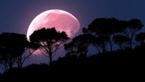 „МЕСЕЧИНАТА НА ЈАГОДИТЕ“ ДОАЃА НА 30 ЈУНИ: 4 знаци започнуваат клучен период