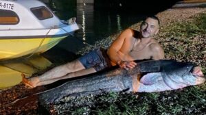 (ФОТО) Сливот на Тамиш и Дунав – Неверојатен улов во Панчево, рибар уловил сом долг два метра: „Беше борба за паметење“