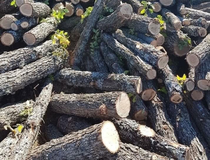 Дрвото сè уште е прв избор за греење, но расте популарноста на инвертерите