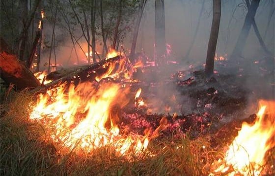 10 пожари низ Македонија, два се се уште активни