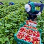 Не е за секого – дневницата е 4.000 денари, ама го „крши“ телото