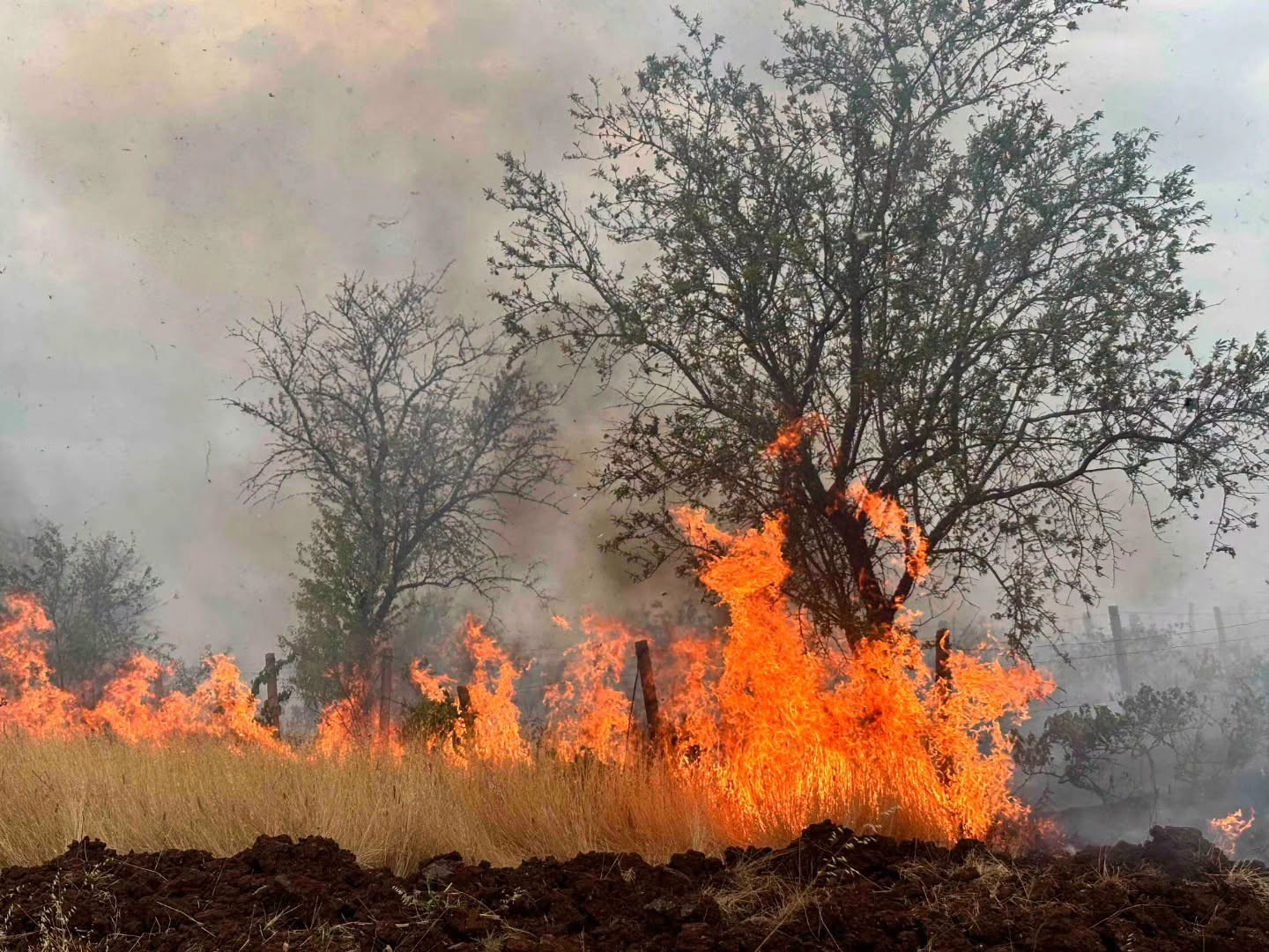 (ФОТО) Пожарот во Велес зафати куќи и викендички
