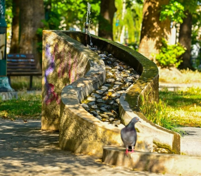 Во функција ставени повеќе од 220 фонтани за пиење вода во Скопје, најавено и поставување нови