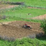 Комасација: Десет прашања од читателите на „Нова Македонија“ и десет одговори од професори на земјоделските факултети во Скопје и во Штип