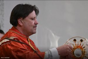Свештеник во Словенија починал по убод на оса среде миса
