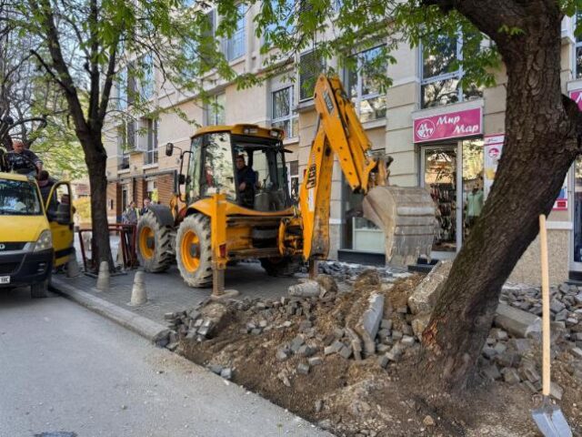Сечење и кастрење на заболените и небезбедни дрвја на „Ленинова“ и „Мирослав Крлежа“