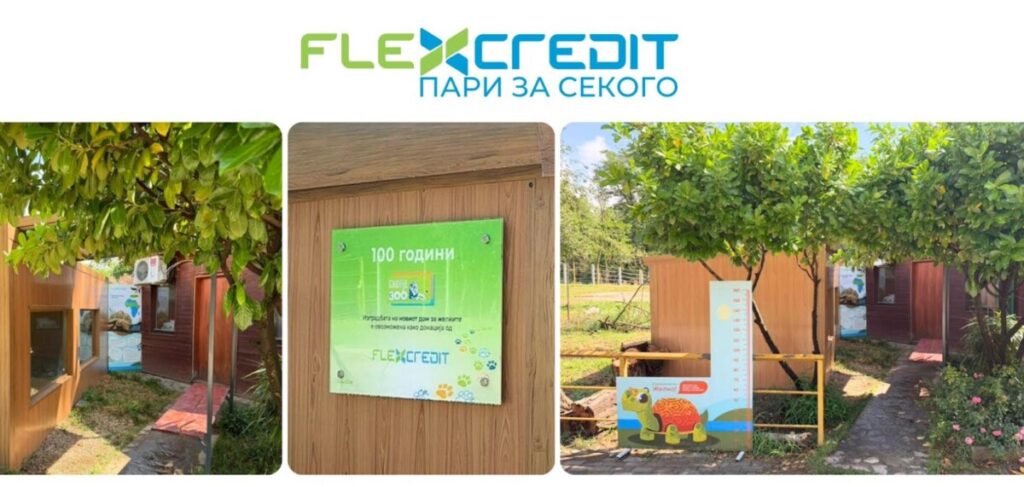 Нов дом за желките Sulcata во Скопје ЗОО: Инвестиција на Flex Credit за поубаво искуство на најмладите