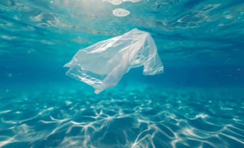 Зошто туристите носат кеса на море? Трикот од плажа стана вирален
