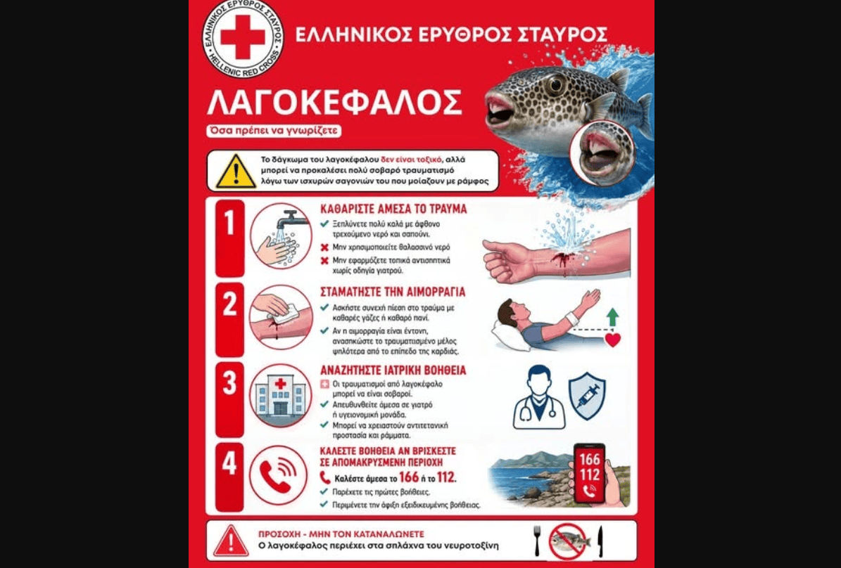 ГРЧКИОТ ЦРВЕН КРСТ ПРЕДУПРЕДУВА: Ако Ве касне рибата-зајак, запрете го крварењето и веднаш на лекар!